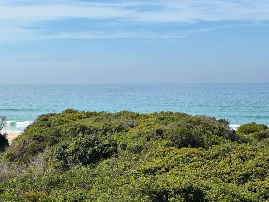 סנט פרנסיס ביי Low Tide At No 35 מראה חיצוני תמונה